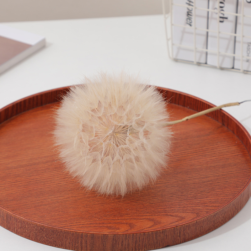Preserved Dandelion DIY Epoxy  - đánh giá và giá Crafting Resin