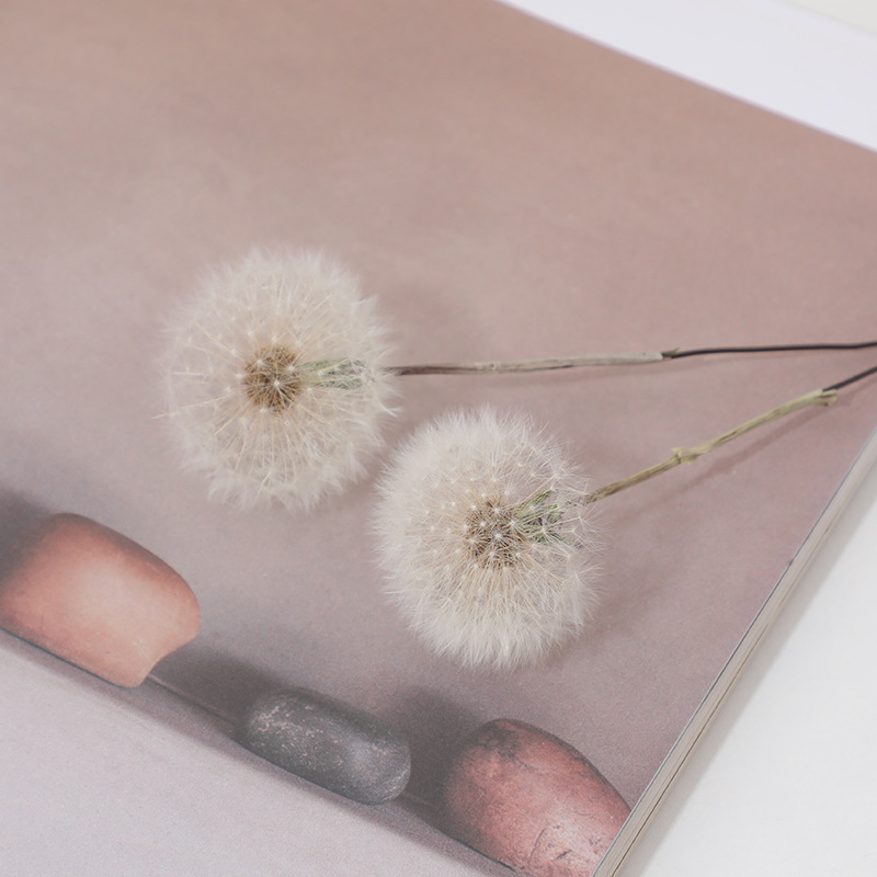 Preserved Dandelion DIY Epoxy  - đánh giá và giá Crafting Resin
