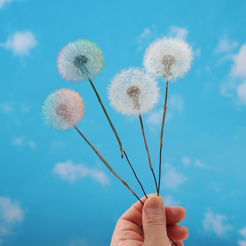 Preserved Dandelion DIY Epoxy  - đánh giá và giá Crafting Resin